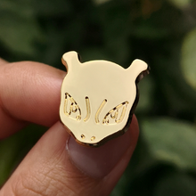 Load image into Gallery viewer, Monster Golden Kanto Pins
